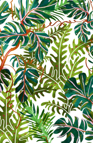 Wild Spirit