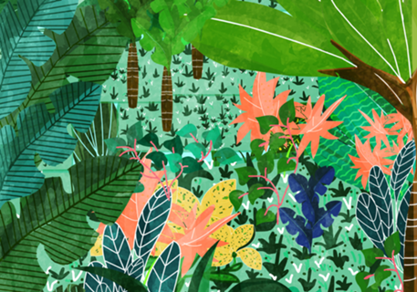 Dense Forest | Colorful Jungle Botanical Nature
