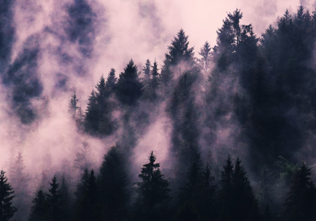 Foggy Night