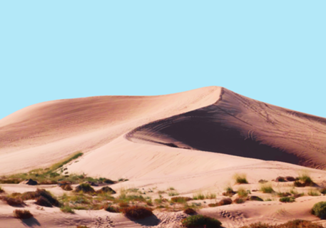 Oasis