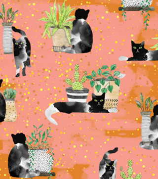 Cats & Plants