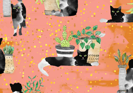Cats & Plants