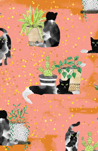 Cats & Plants