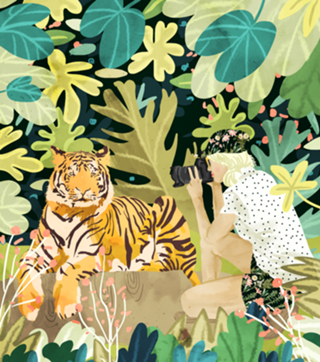 Tiger Sighting