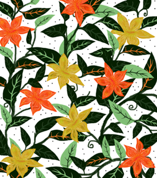 Tropical Rainforest