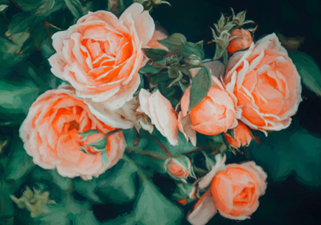 Seasons Blossom