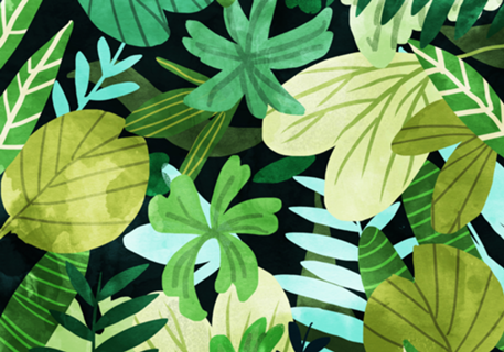 Rainforest V2