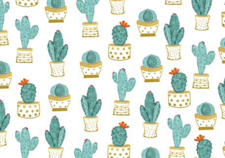 Cactus Garden V2