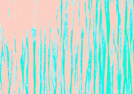 Essence