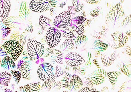Nature Glow