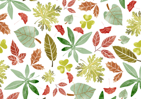 Autumn II