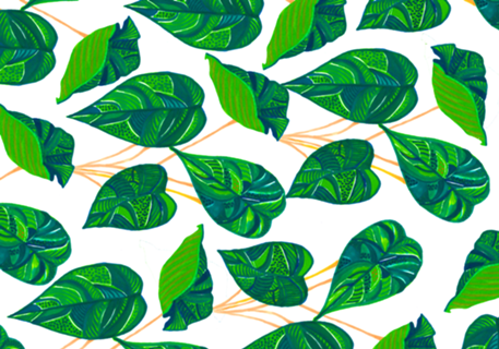 House Plant
