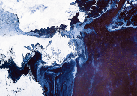 Surface in Concept