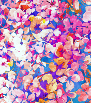 Floral Abundance