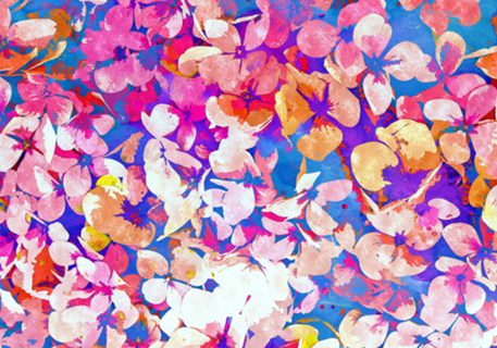 Floral Abundance