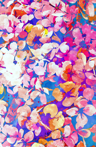 Floral Abundance