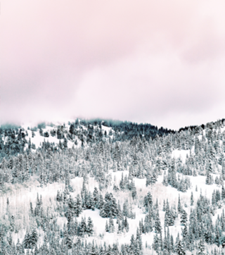 Snow Season