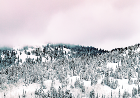 Snow Season