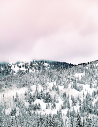 Snow Season