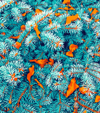 Winter Lush