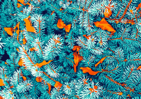 Winter Lush