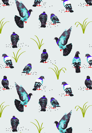 Pigeons