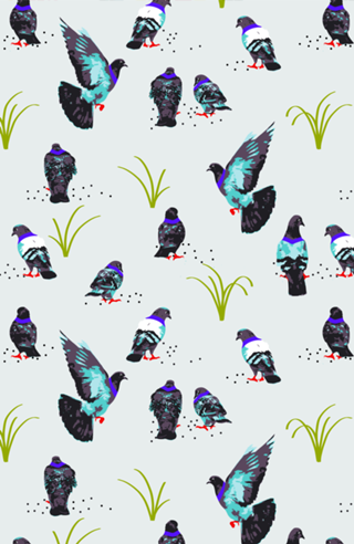 Pigeons