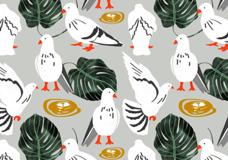 White Pigeons