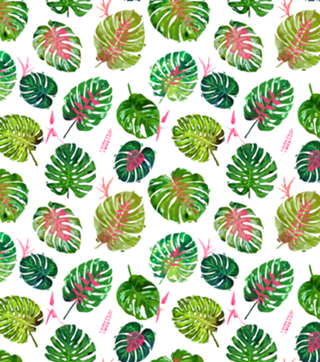 Monstera Love II