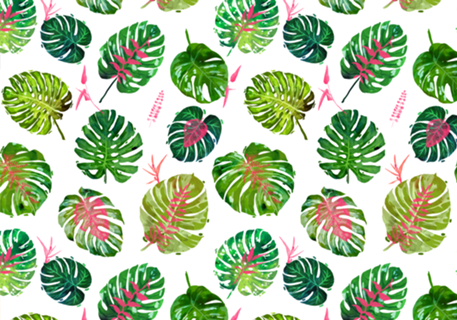 Monstera Love II