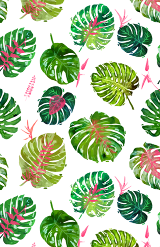Monstera Love II