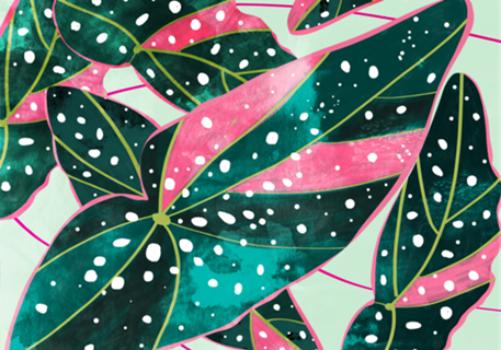 Haripriya | Modern Bohemian Botanical Painting