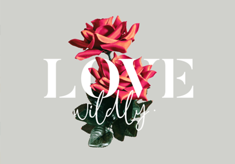 Love Wildly