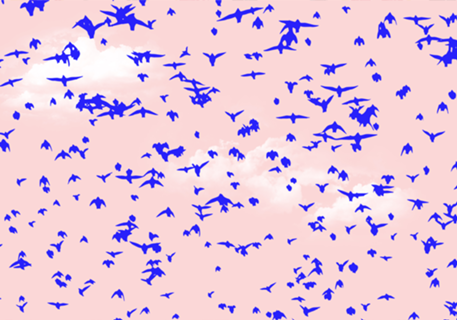 The Right To Fly