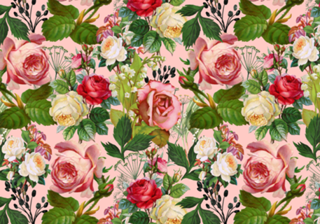 Vintage Botanical, Blush Floral Rose Illustration