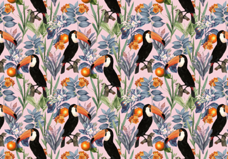 Tucan Garden