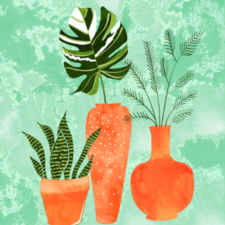 Water My Plants