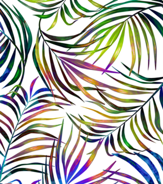 Palm Dance