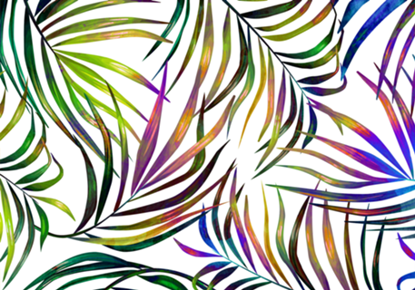 Palm Dance