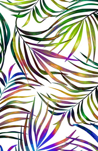 Palm Dance