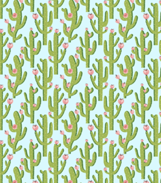 Summer Cactus