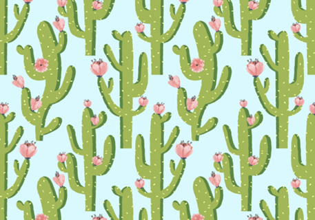 Summer Cactus