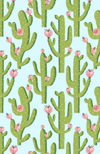 Summer Cactus
