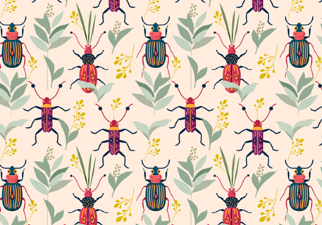 Summer Bugs