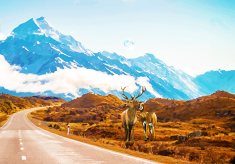 Wildlife