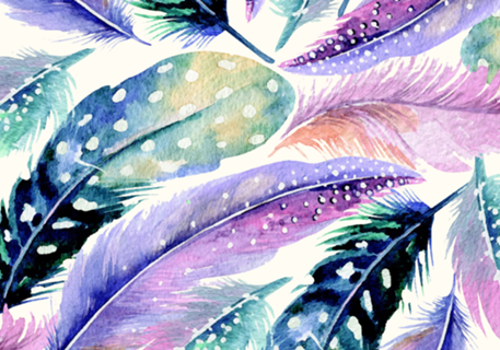 Wild Feathers
