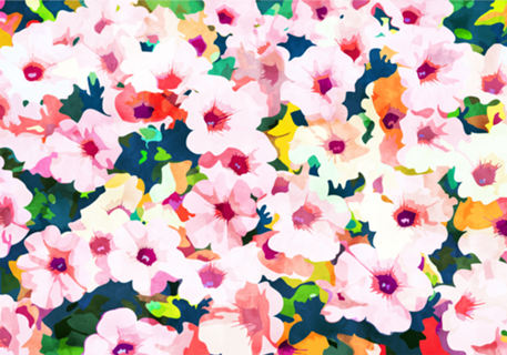 Summer Meadow