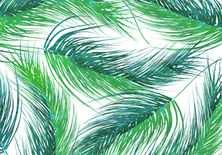 Bed Head Palm