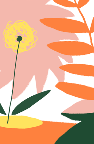 Summer Blossom
