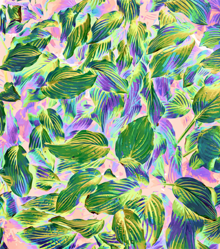 Happy Leaves